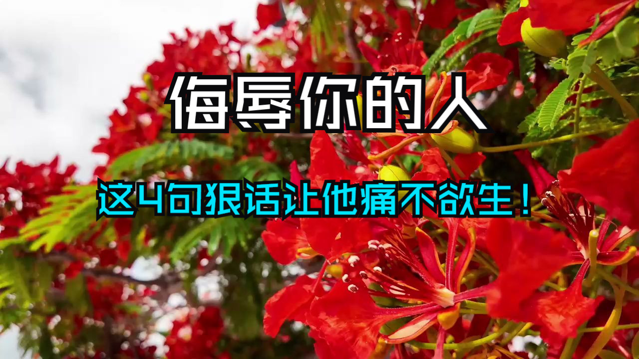 侮辱你的人，这4句狠话让他痛不欲生！