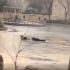 65岁保洁员跳冰湖救出6岁女童：我是退伍军人，救人毫不犹豫！