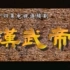 1996版《汉武帝》 导演：陈家林，主演：周里京  于小慧  李建群  于慧  张弓   普超英等