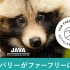 日本动物权利组织ARC（Animal Rights Center）街头宣传