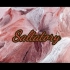 调频器4.0：Saltatory
