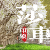 西游记之莎车印象