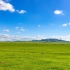 【辛丑•暑旅】我爱内蒙大草原，蓝天白云绿草、骏马牛羊，太美了