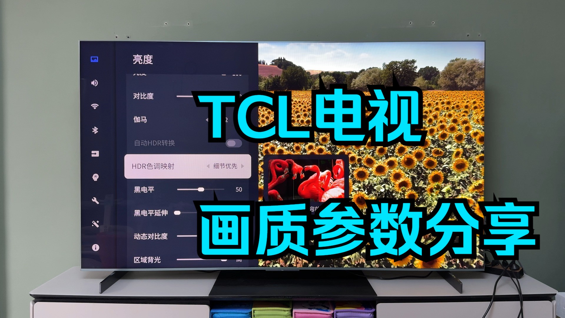 【2025 TCL+雷鸟电视】个人画质参数分享