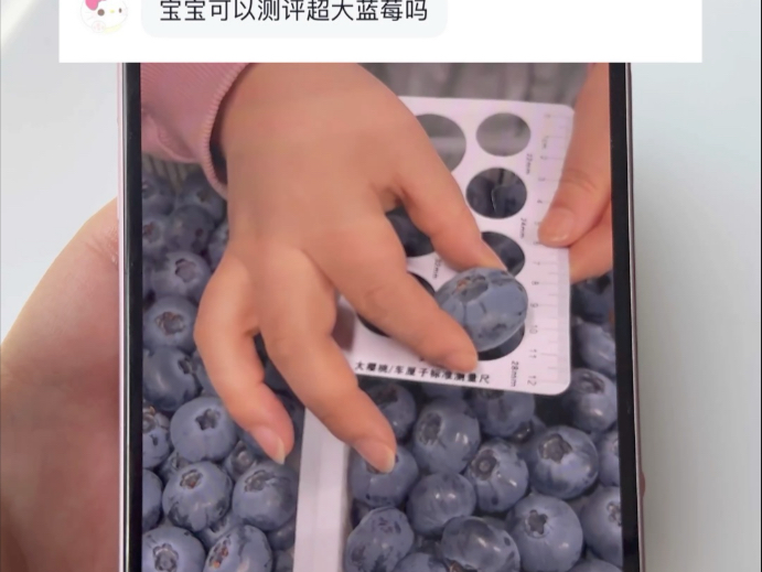 真实测评巨无霸蓝莓 无美颜 无滤镜