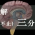 【人解三分钟】脑脊液循环：硬脑膜蛛网膜软脑膜是什么膜？侧脑室第三第四脑室在哪里？脑脊液从哪里产生到哪里去？
