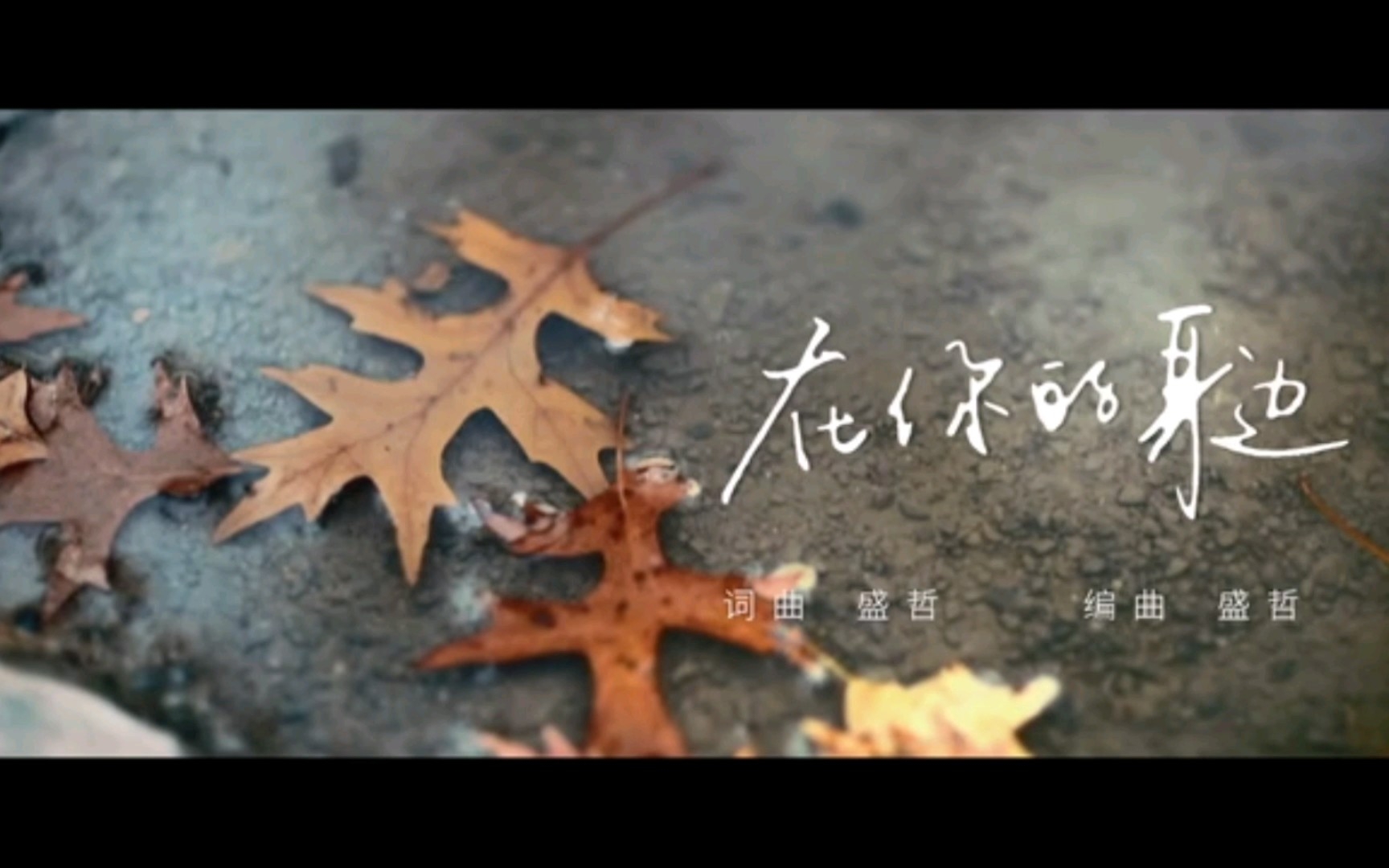 在你的身边——盛哲 纯伴奏（mv版）