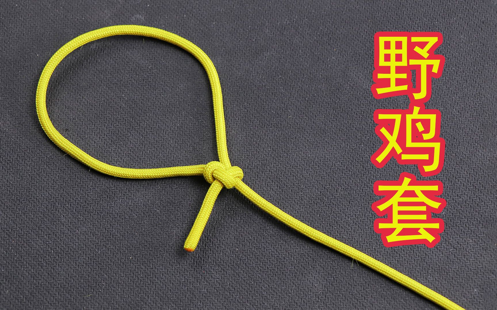 专业的野鸡套绳结，受力可以快速收紧，这是一个很实用的捆绑绳结