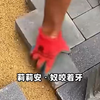 0521-下次还填非常简单-jsq脚本-xjx