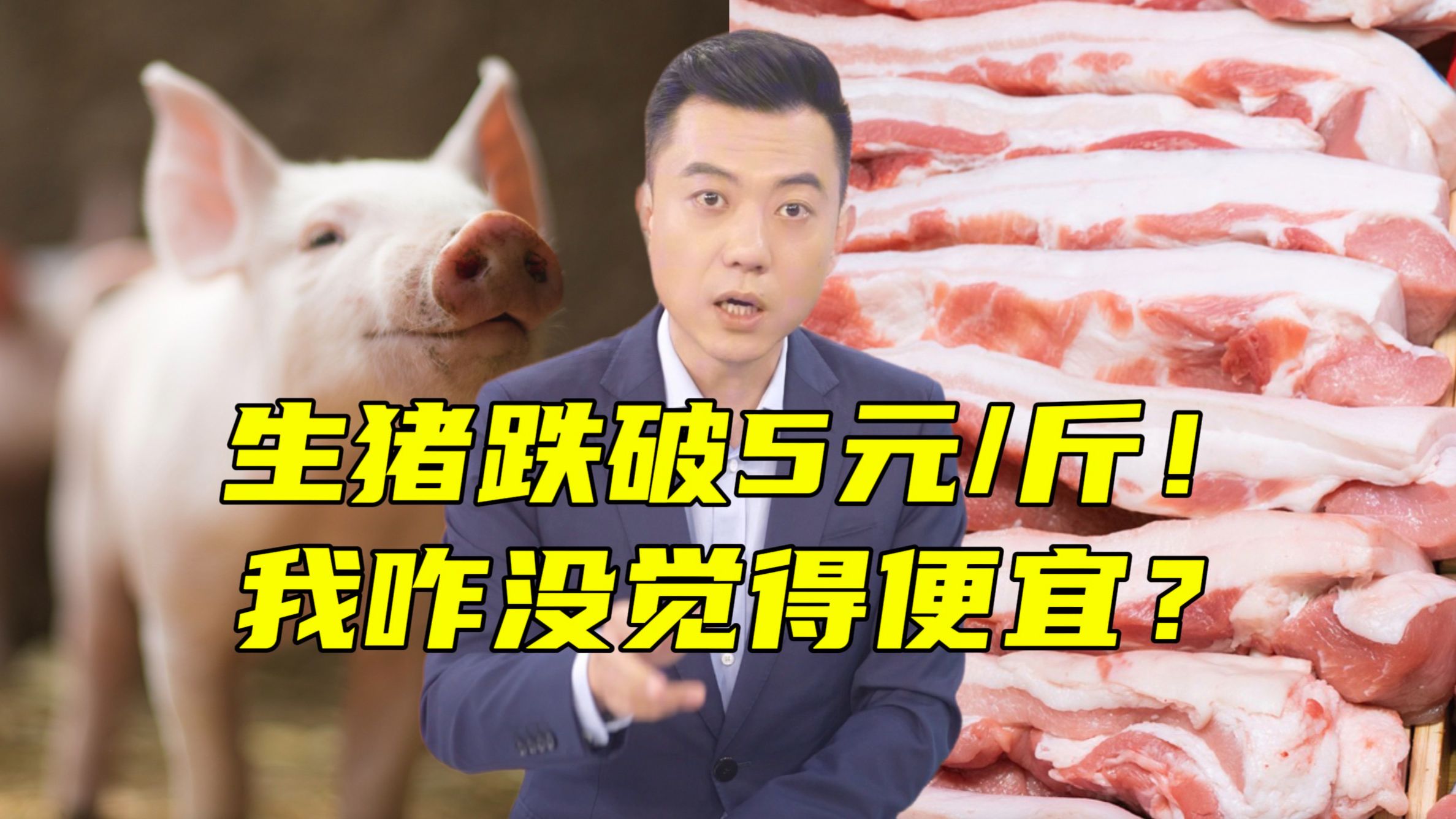生猪跌破5元/斤！楼下排骨20元/斤！差价谁赚走了？【主播说三农】