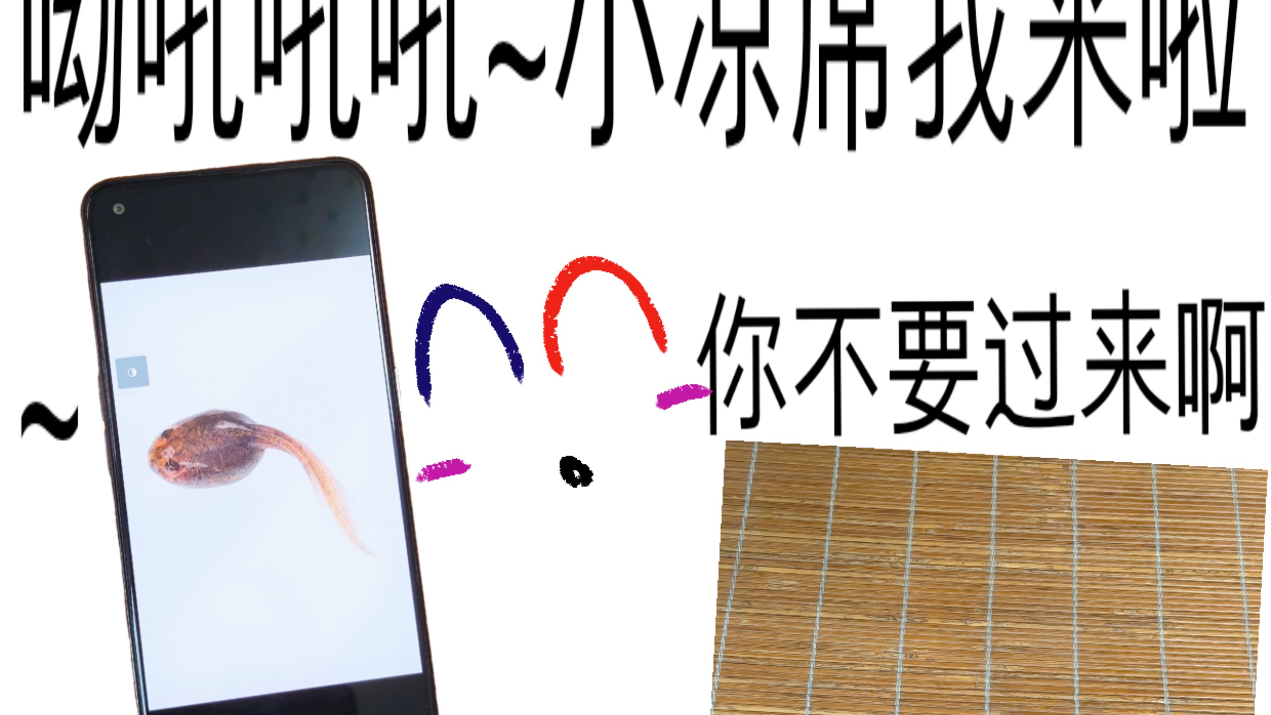 【原创】我把我的手机扔在了凉席上【洛天依AI声库】