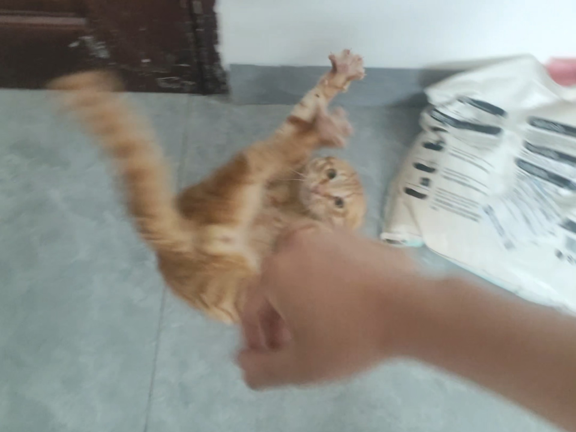 你说你有点难追