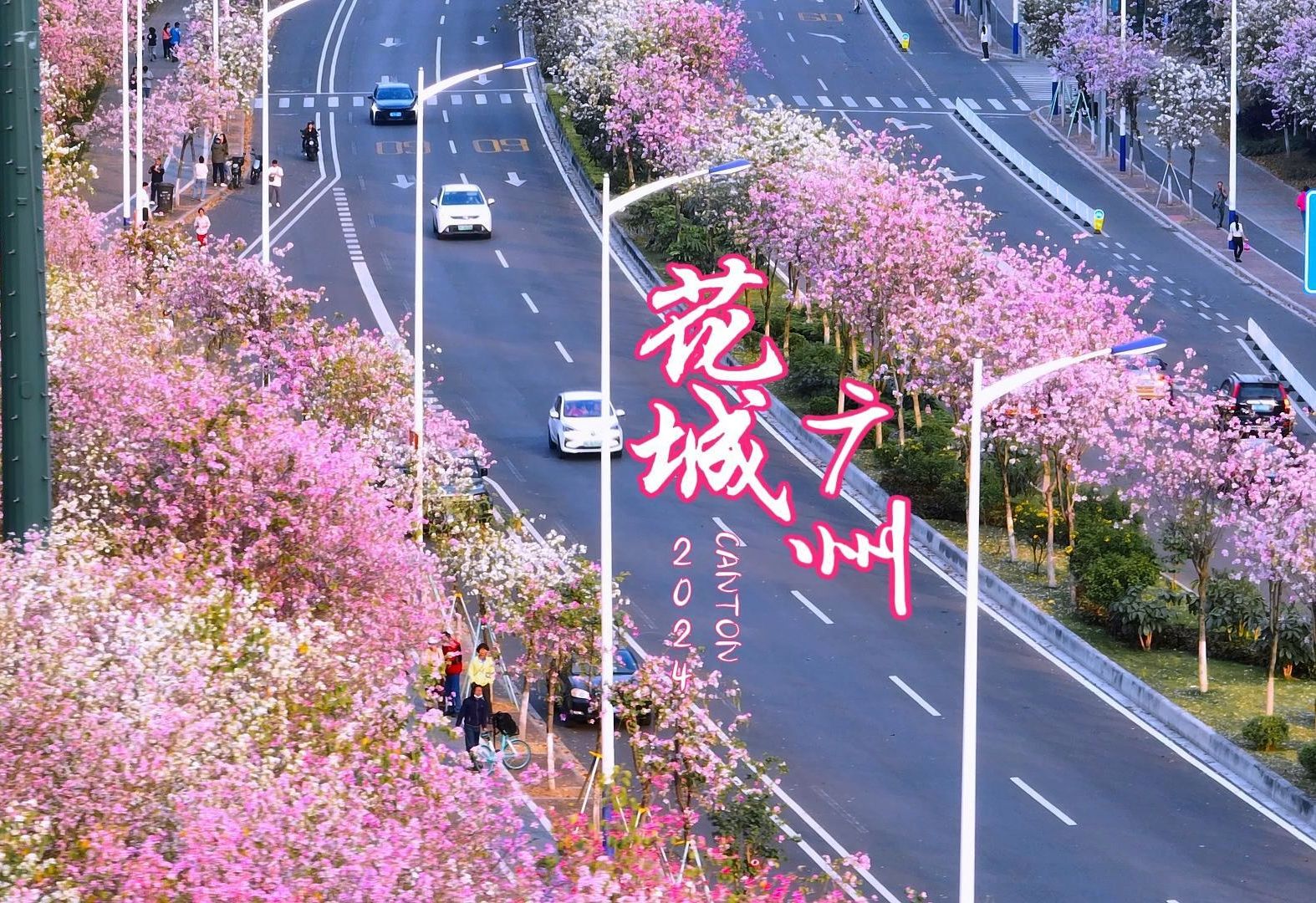 又到了广州花开满城的最美季节，接下来半个月的广州将会再次变成童话仙境，美到窒息！
