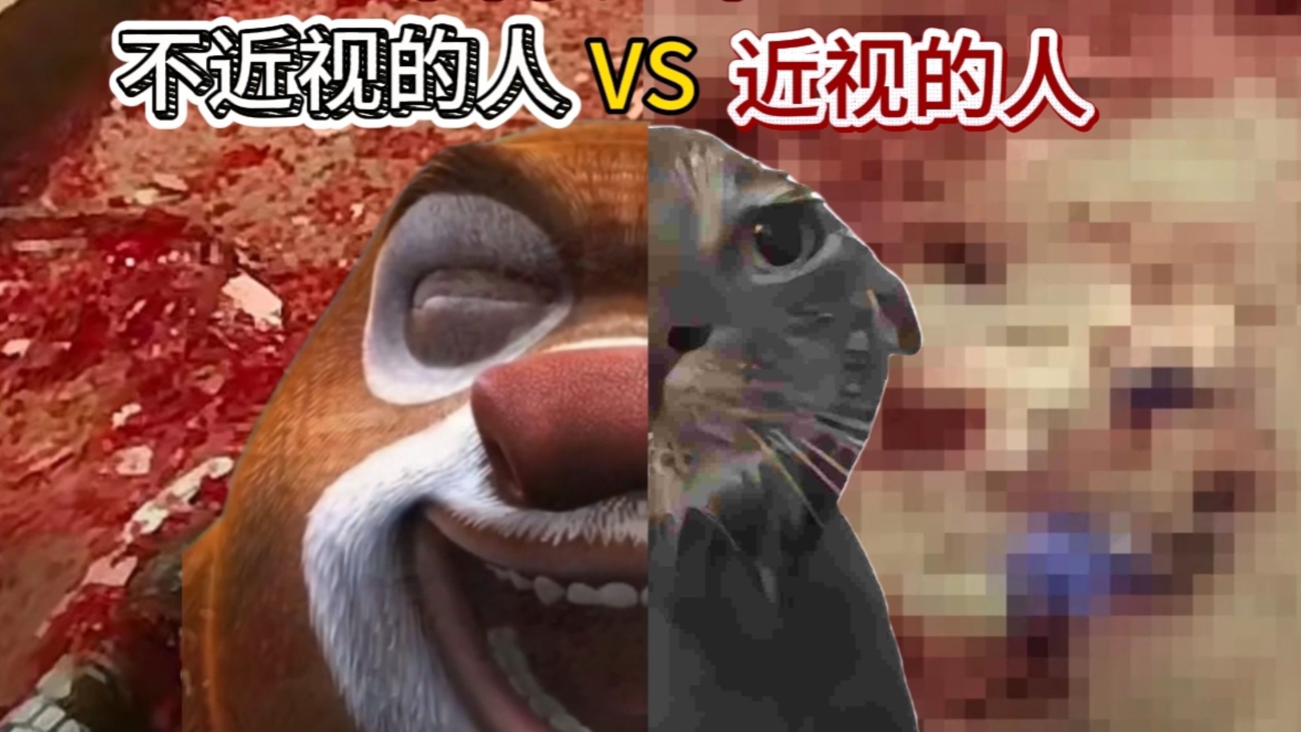 为什么你们看到的和我看到的不一样啊？