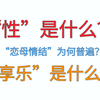 [精神分析3.1]精神分析为什么围绕“性”展开？恋母情结的来源。伦理与乱伦的关系。禁忌与犯禁的关系。性化的享乐运行机制。母亲与配偶的重合与分裂