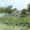 【创建风景线】西城区：改善环境 利民惠民