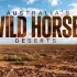 【纪录片/生肉】澳大利亚野马的生活（共2p）｜REAL WILD