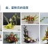 上海空中课堂 七年级上劳技 盆、篮鲜花的造型技艺