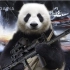 《大话熊猫》第1季 第7话 25D大型灾难片！