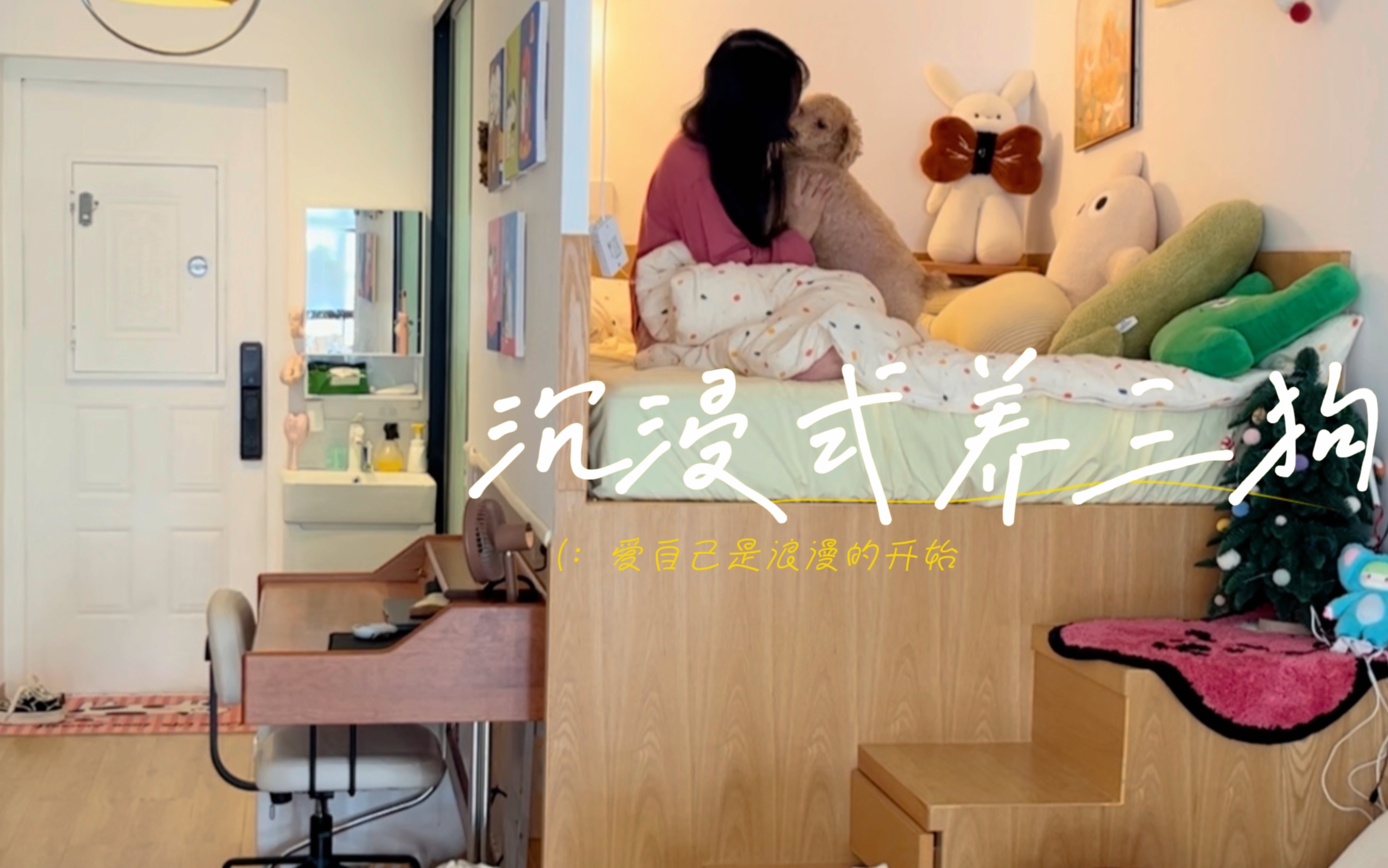 沉浸式养狗vlog | 如何在30平小屋养三狗