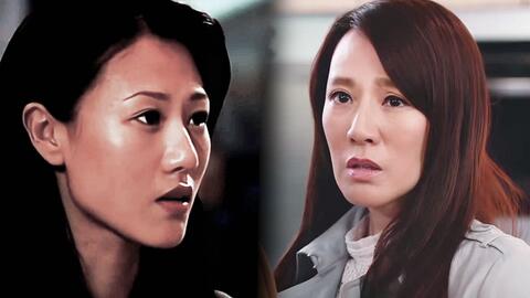 法证先锋4与刑事侦缉档案4的梦幻联动