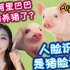 京东阿里都开始养猪了！人脸识别之后是猪脸识别，用AI养猪？