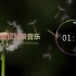 【中国风/古风】无版权背景音乐 / Free BGM ，「落樱谣 纯乐版」，可商用，可用于bilibili/哔哩哔哩、Y