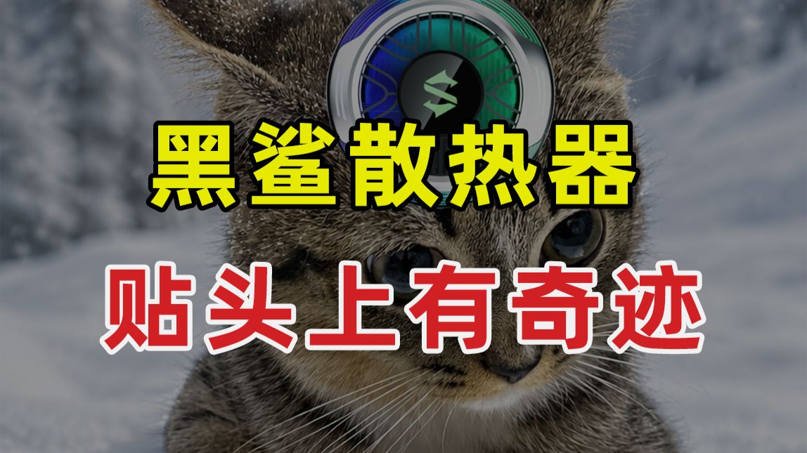 【JUMP】人类对黑鲨手机散热器的了解还是太浅了