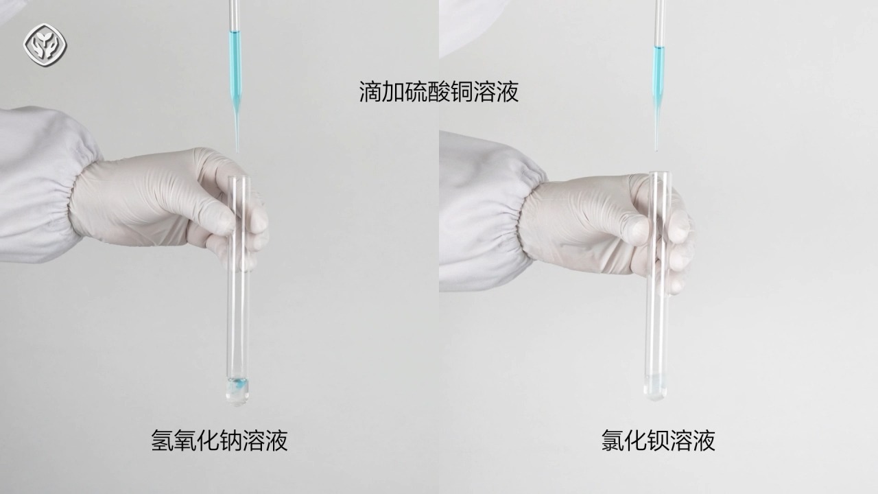 1003 NaOH 溶液和 BaCl2 溶液的试管中滴加 CuSO4 2024人教新版