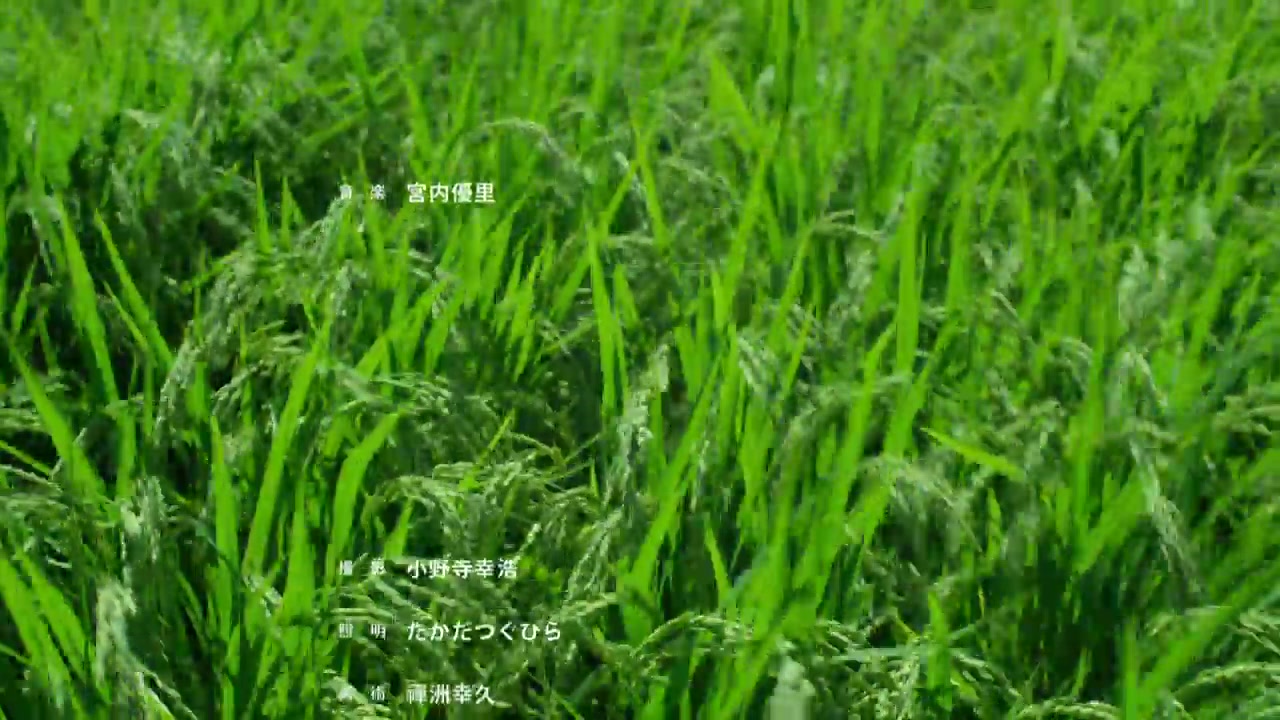 小森林littleforestリトル99フォレストostsummer夏flowerfl