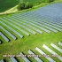 绿色清洁能源  对能源市场来的不利影响。（搬运、经济、全英文字幕）