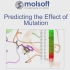 预测突变对蛋白质稳定性和结合的影响-Predicting Effect of Mutation on Protein S
