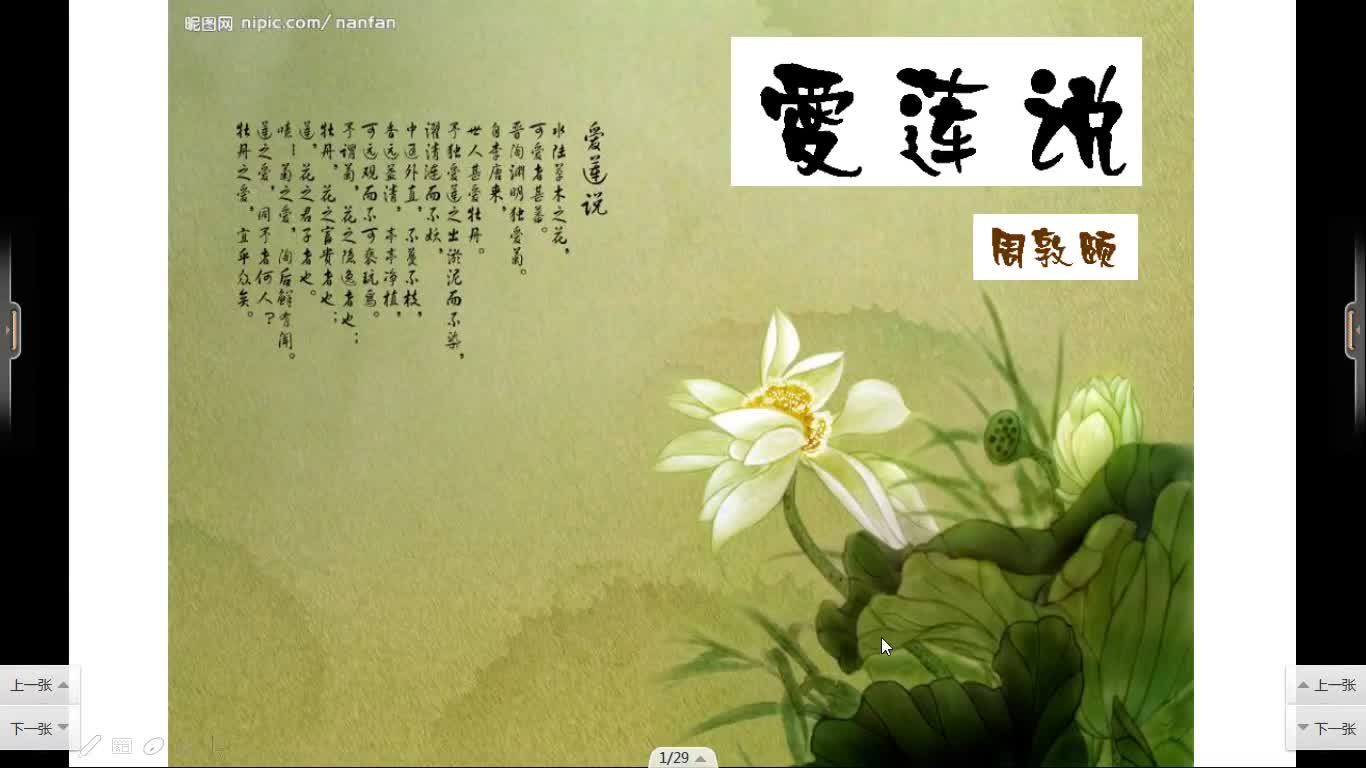 七年级语文下册《爱莲说》