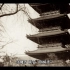 最早佛教木造建筑“日本法隆寺”