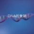 DNA的复制（详细讲解）