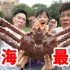 上海最大帝王蟹！一蟹4吃，光吃蟹腿就能饱了！