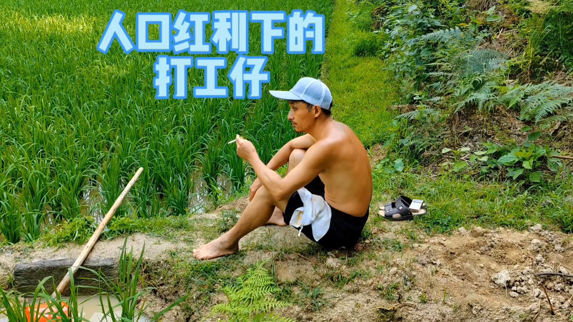 字幕下载