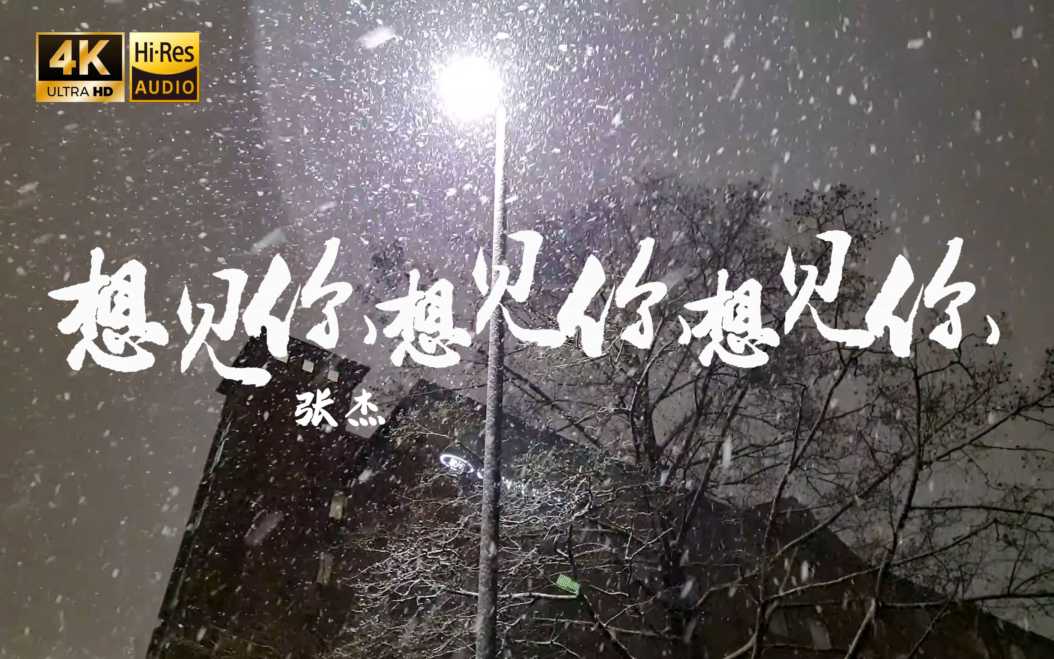 【4K Hi-Res】想见你想见你想见你-张杰 会不会你也一样 等待着那句我愿意