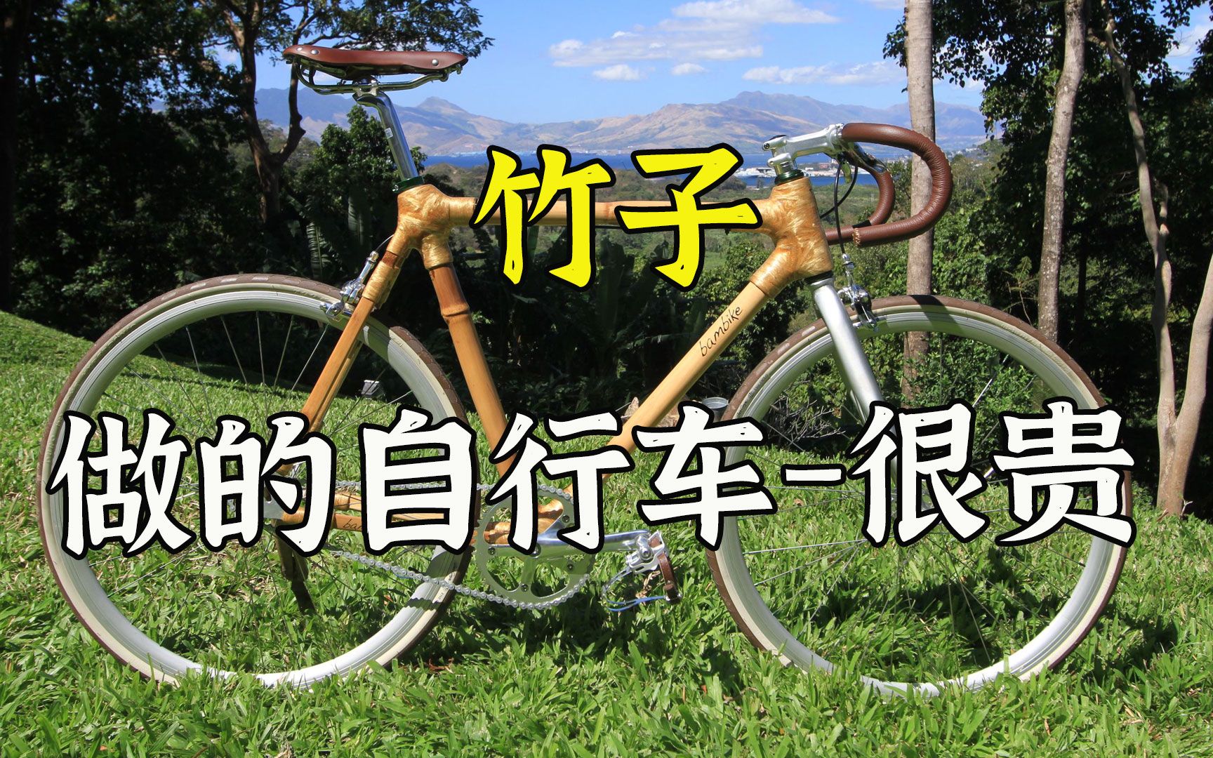 售价过万的竹子自行车，是怎么制作的，到底哪里好呢？
