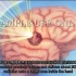 【3D医学动画】伽玛刀治疗全过程！用辐射杀死异常细胞，这是脑肿瘤常用的放射治疗类型。
