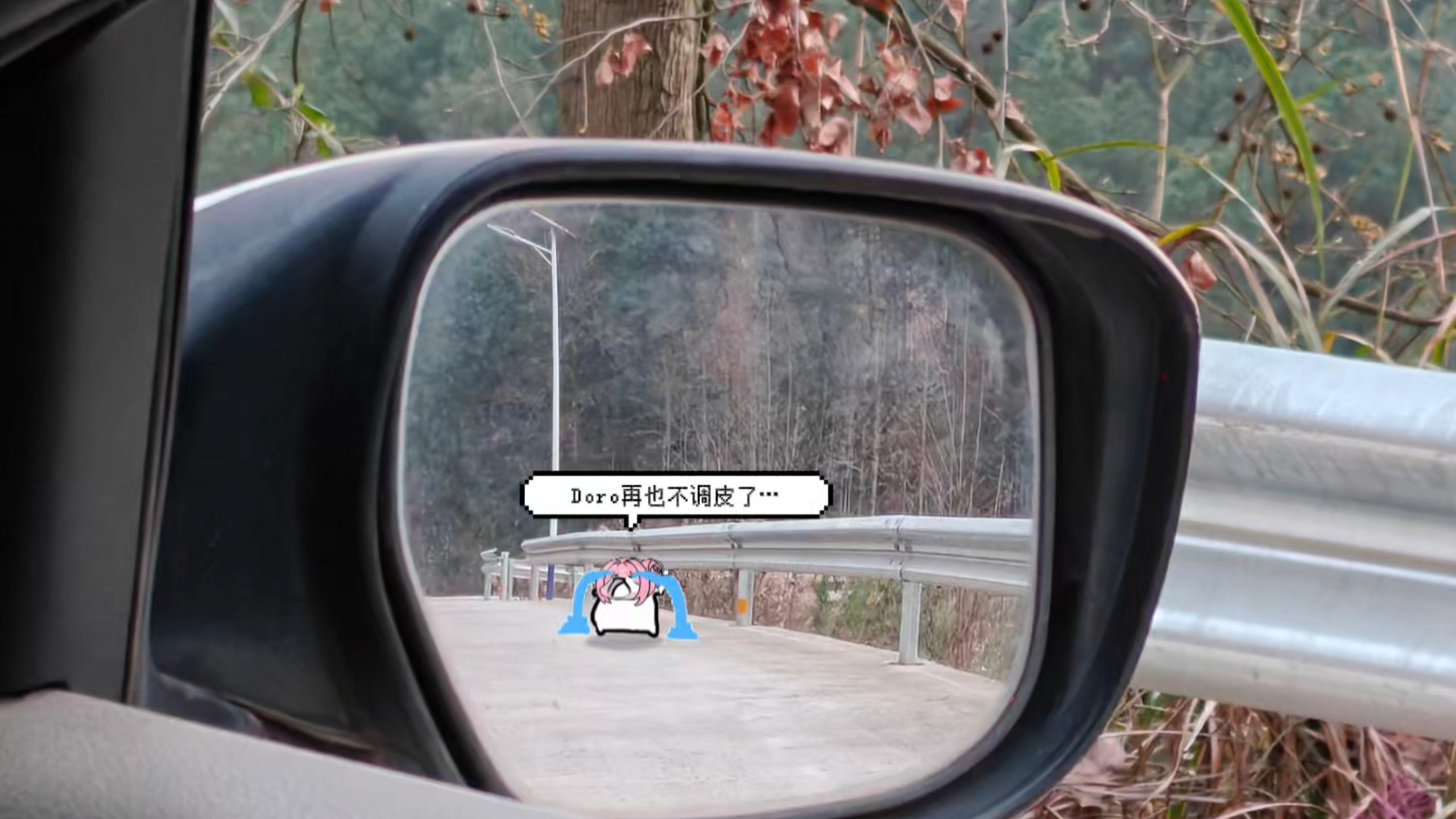 谢谢你们没有丢下Doro！