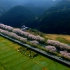 日本春天的景色