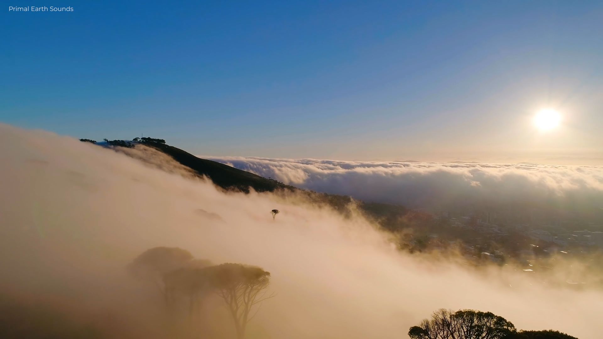 4K 视觉｜飞越连绵山林，满眼苍翠绵延天际，超清画面解锁森林壮阔景致