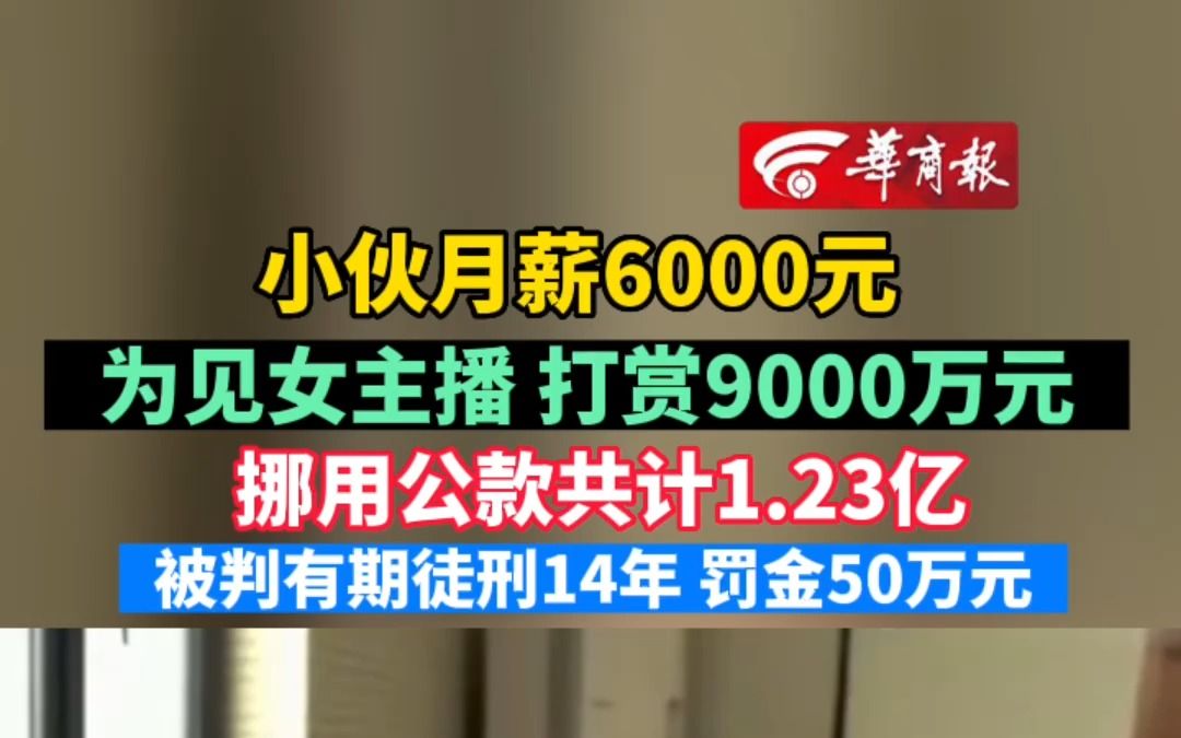 小伙月薪6000元为见女主播 打赏9000万元 挪用公款共计1.23亿 被判有期徒刑14年 罚金50万元哔哩哔哩bilibili