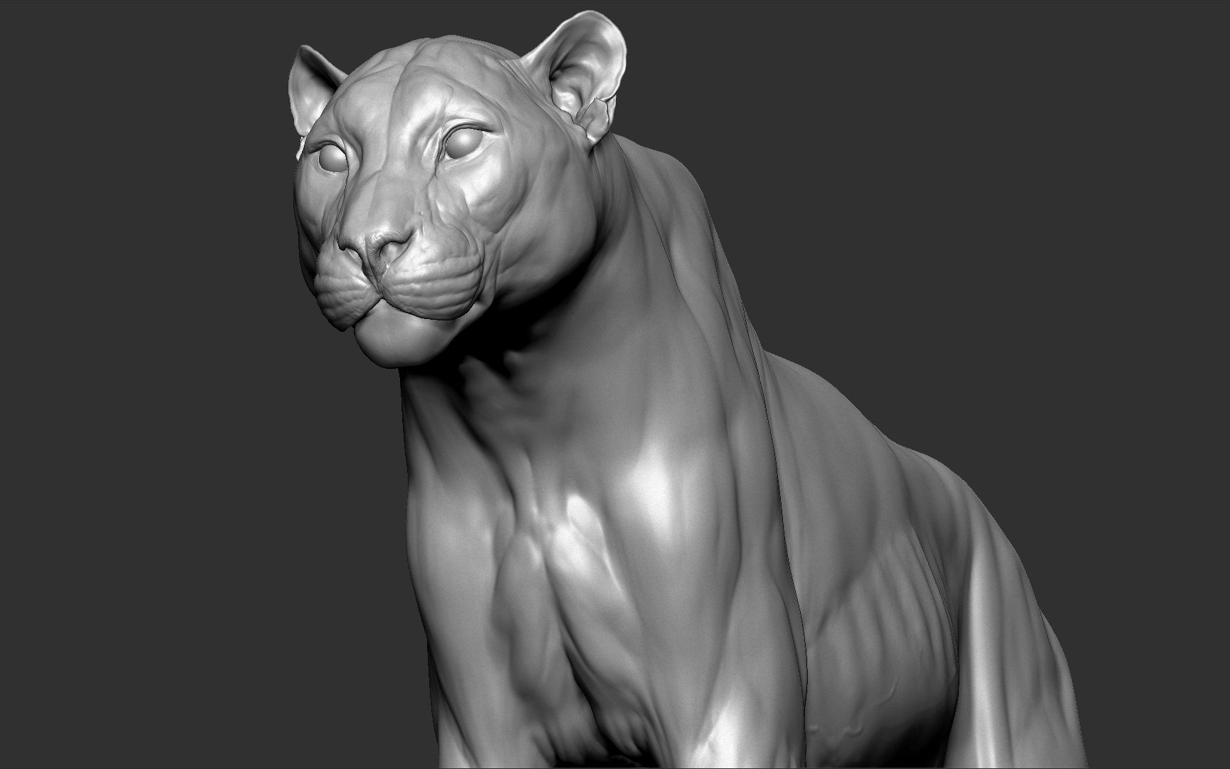 zbrush凶猛豹子动物雕刻参考资料,zbrush雕刻资料