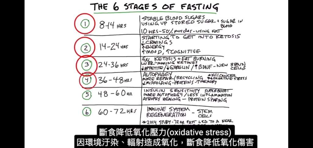 柏格医生:断食的6个阶段哔哩哔哩bilibili