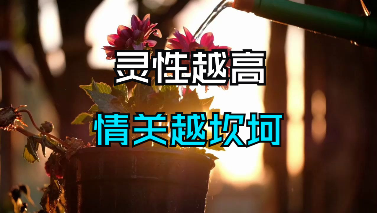 这种特征的女人，灵性越高，情关越坎坷！