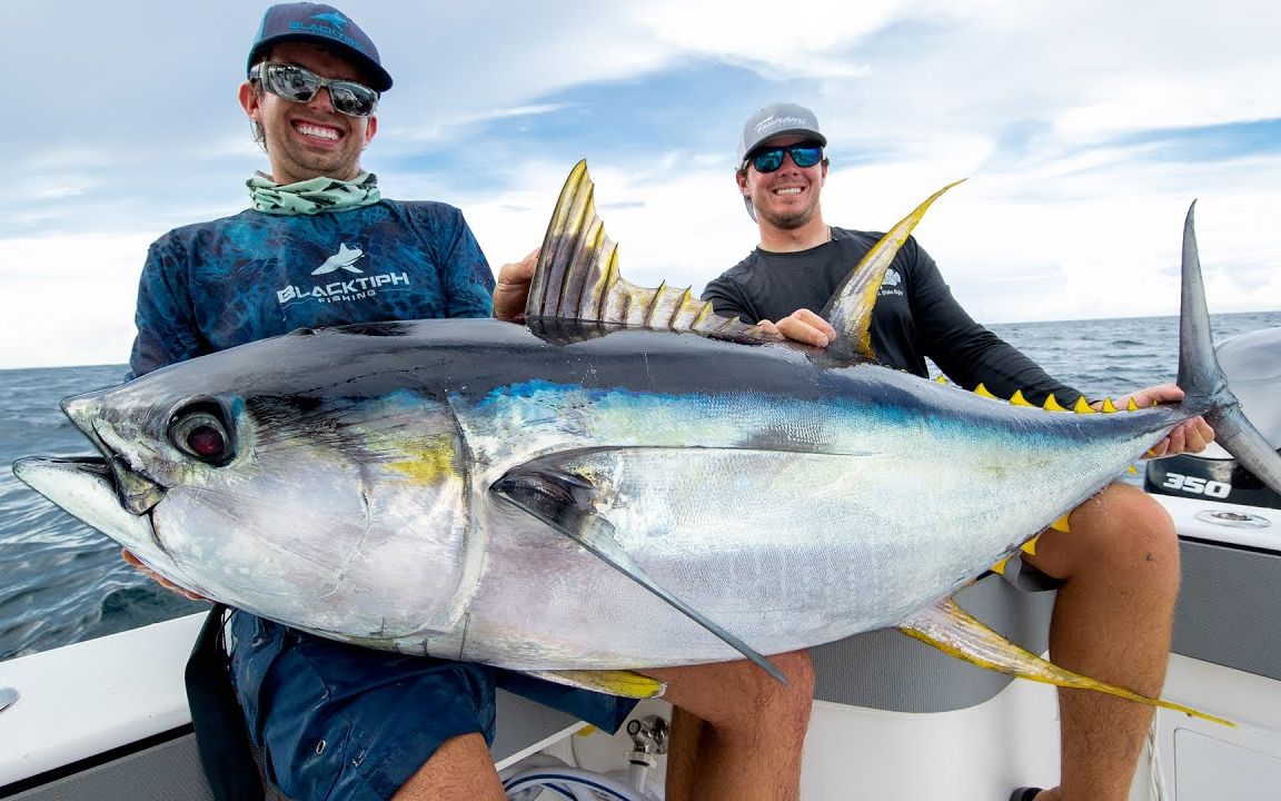 【BlacktipH】搏斗45分钟捕获121磅黄鳍金枪鱼 | Monster Yellowfin Tuna