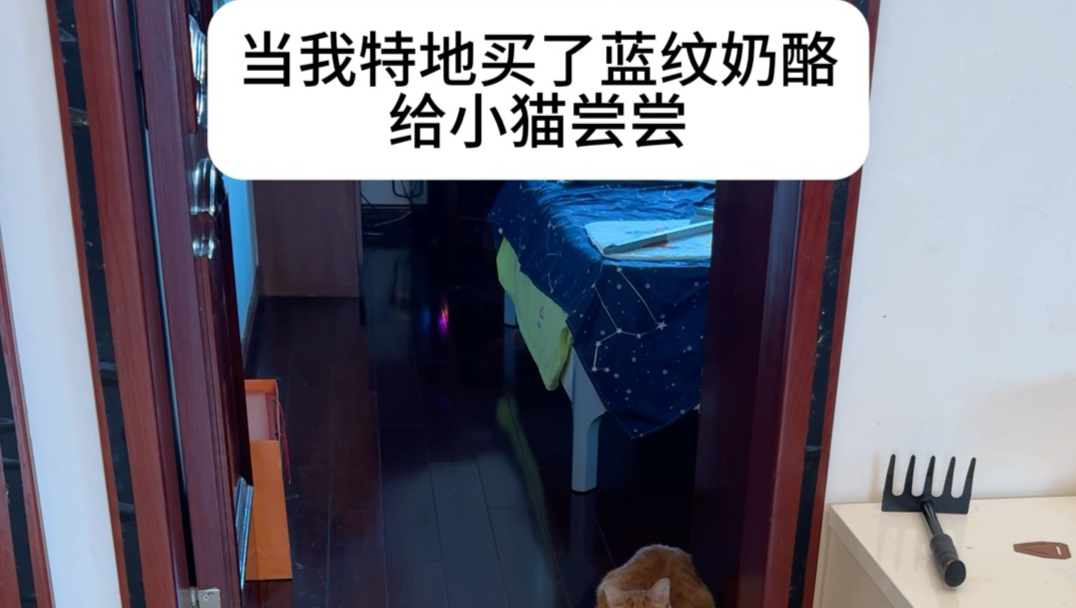 肖茂，这个东西来之不易啊