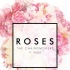 The Chainsmokers - Roses 中英字幕(MrP&wHim3制)